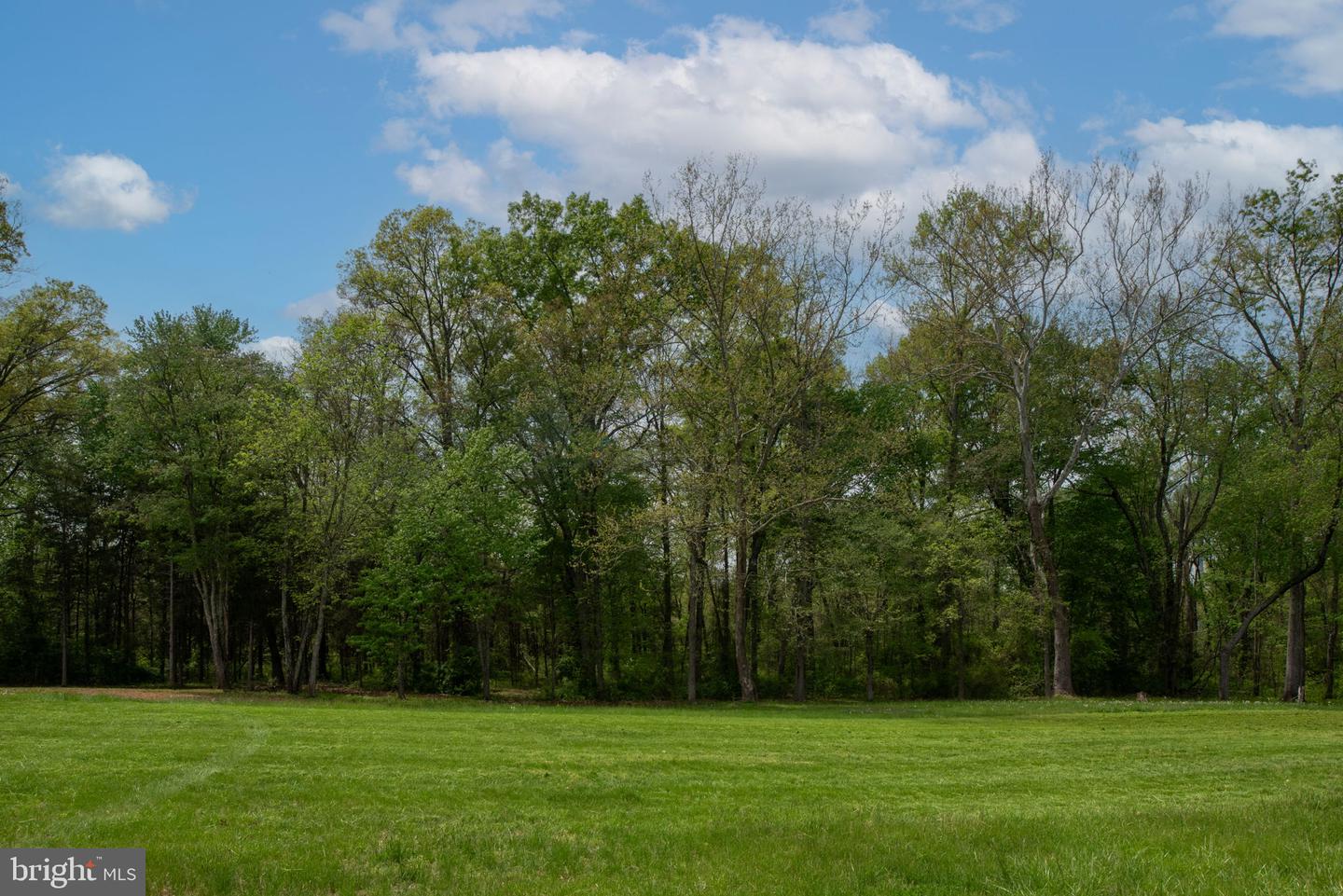 11490 TILIA LN, BEALETON, Virginia 22712, 4 Bedrooms Bedrooms, ,3 BathroomsBathrooms,Residential,For sale,11490 TILIA LN,VAFQ2016558 MLS # VAFQ2016558