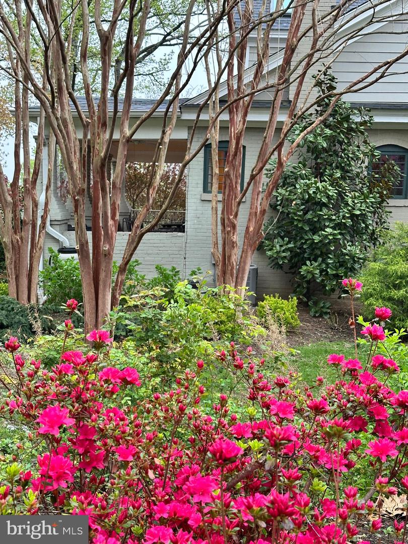 120 W MAPLE ST, ALEXANDRIA, Virginia 22301, 4 Bedrooms Bedrooms, ,3 BathroomsBathrooms,Residential,For sale,120 W MAPLE ST,VAAX2045226 MLS # VAAX2045226