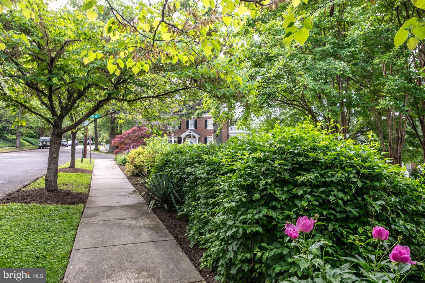 120 W MAPLE ST, ALEXANDRIA, Virginia 22301, 4 Bedrooms Bedrooms, ,3 BathroomsBathrooms,Residential,For sale,120 W MAPLE ST,VAAX2045226 MLS # VAAX2045226