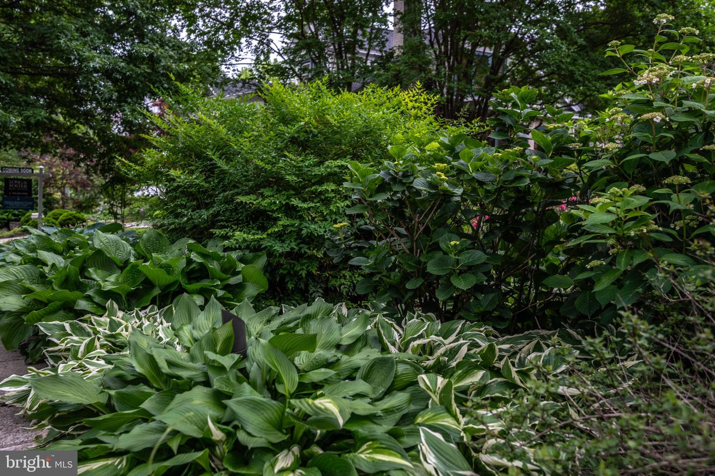 120 W MAPLE ST, ALEXANDRIA, Virginia 22301, 4 Bedrooms Bedrooms, ,3 BathroomsBathrooms,Residential,For sale,120 W MAPLE ST,VAAX2045226 MLS # VAAX2045226