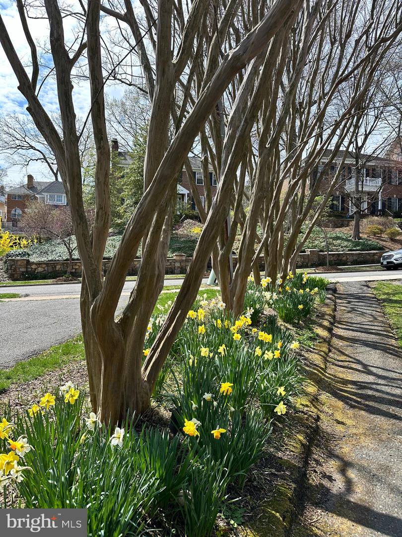 120 W MAPLE ST, ALEXANDRIA, Virginia 22301, 4 Bedrooms Bedrooms, ,3 BathroomsBathrooms,Residential,For sale,120 W MAPLE ST,VAAX2045226 MLS # VAAX2045226