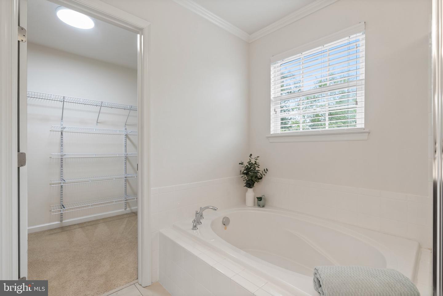 3714 LILLY LN, WARRENTON, Virginia 20187, 3 Bedrooms Bedrooms, ,2 BathroomsBathrooms,Residential,For sale,3714 LILLY LN,VAFQ2016576 MLS # VAFQ2016576