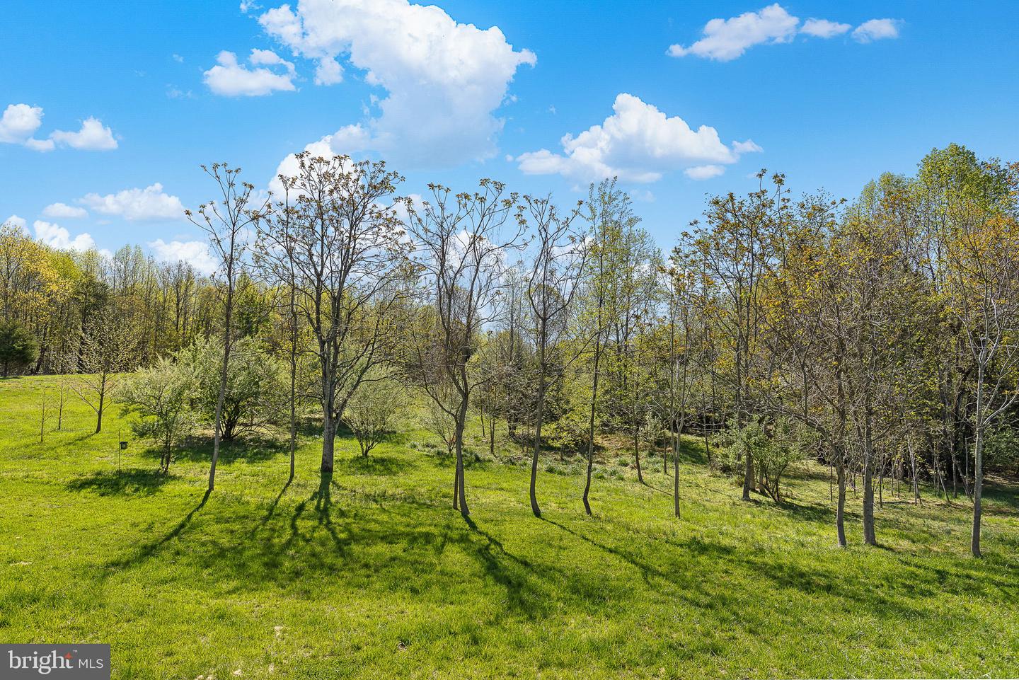 316 LIBERTY HALL DR, FREDERICKSBURG, Virginia 22406, 5 Bedrooms Bedrooms, ,4 BathroomsBathrooms,Residential,For sale,316 LIBERTY HALL DR,VAST2038730 MLS # VAST2038730