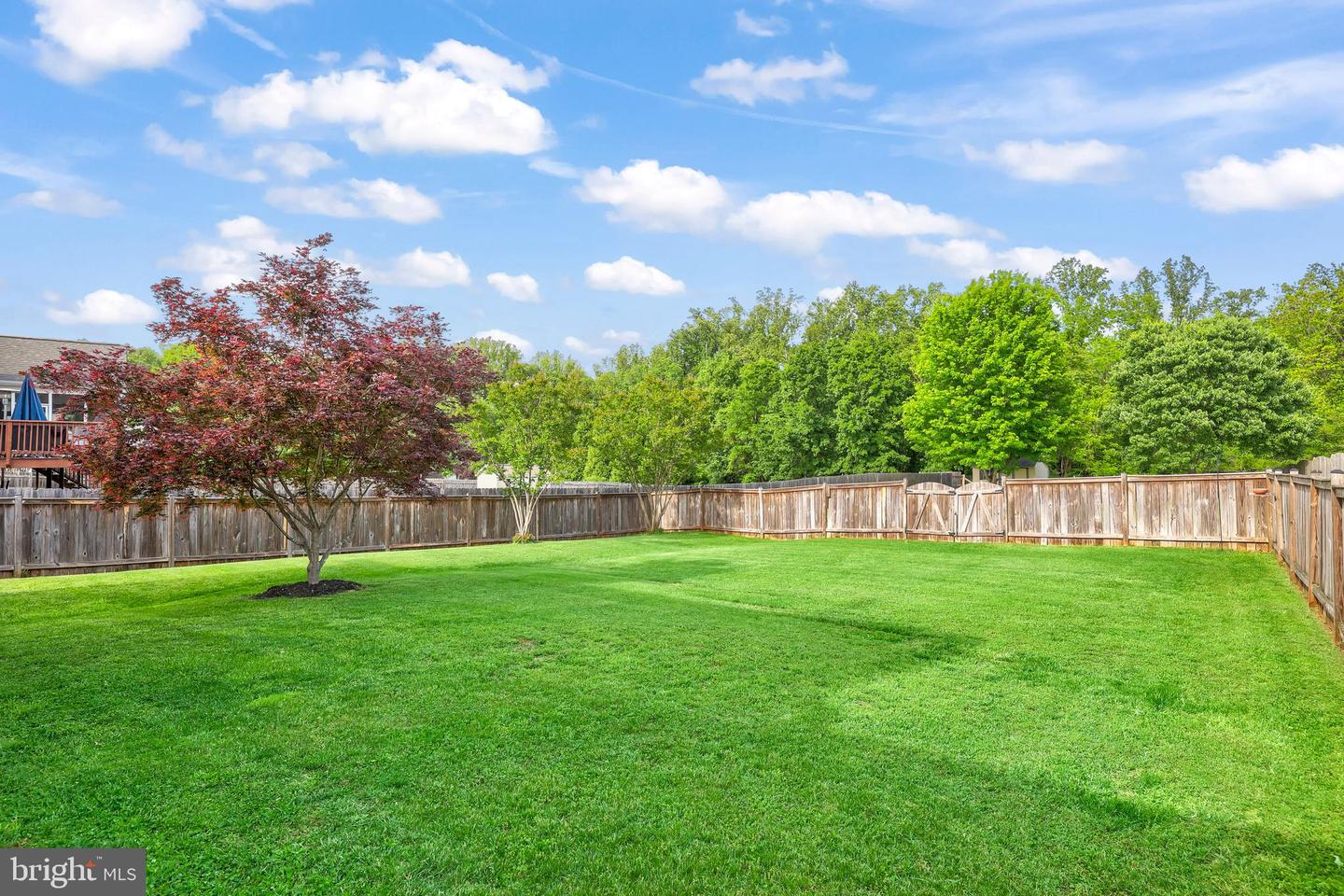 135 GREENWAY ST, FREDERICKSBURG, Virginia 22405, 4 Bedrooms Bedrooms, ,2 BathroomsBathrooms,Residential,For sale,135 GREENWAY ST,VAST2038744 MLS # VAST2038744