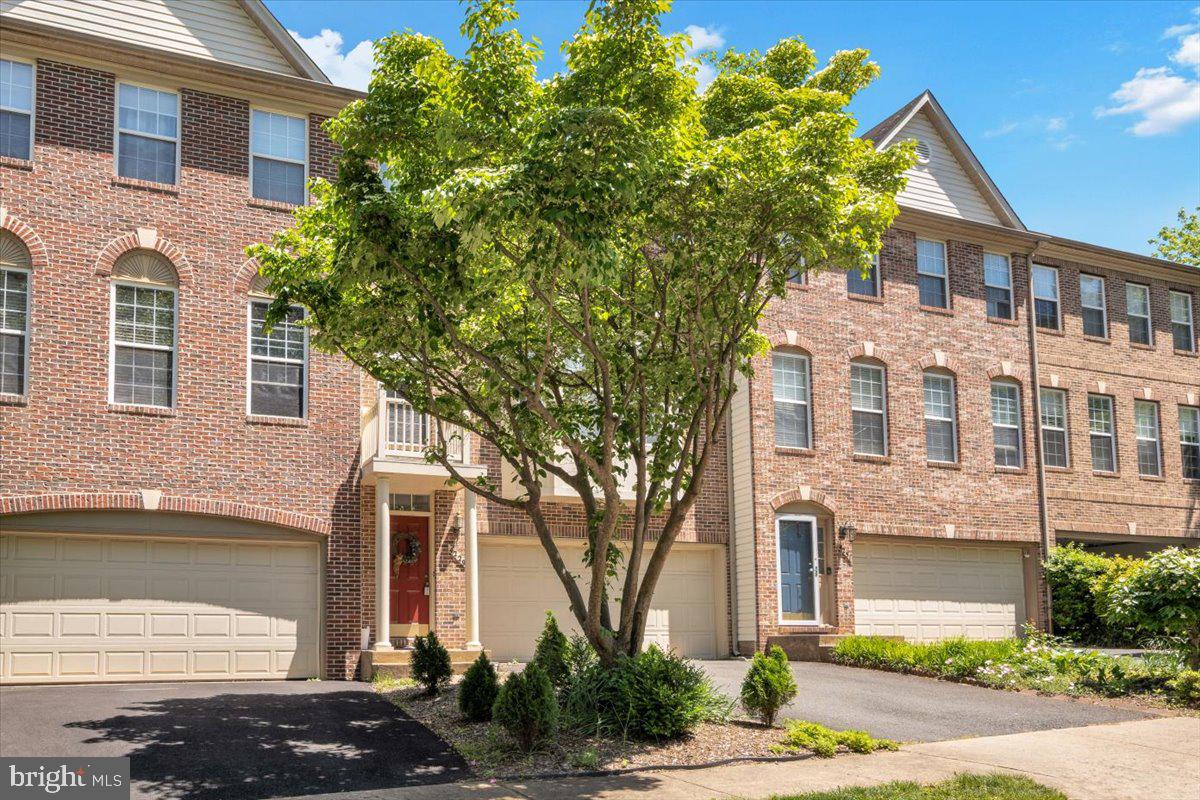 4229 TRUMBO CT, FAIRFAX, Virginia 22033, 3 Bedrooms Bedrooms, ,2 BathroomsBathrooms,Residential,For sale,4229 TRUMBO CT,VAFX2240460 MLS # VAFX2240460