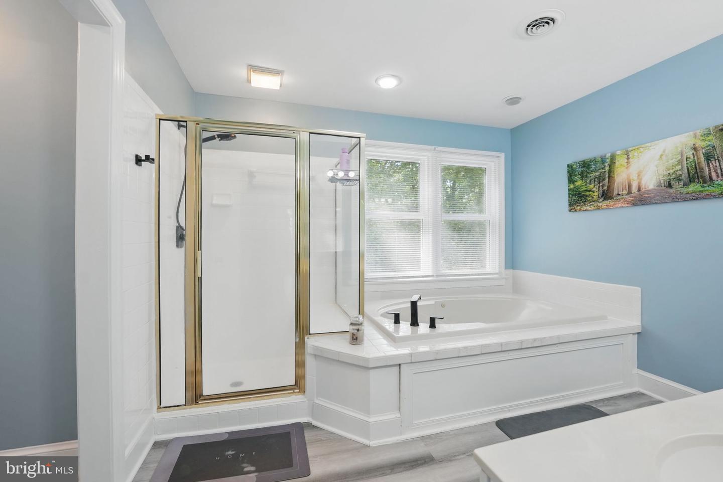 10104 BLANDFIELD LN, FREDERICKSBURG, Virginia 22408, 3 Bedrooms Bedrooms, ,3 BathroomsBathrooms,Residential,For sale,10104 BLANDFIELD LN,VASP2033088 MLS # VASP2033088
