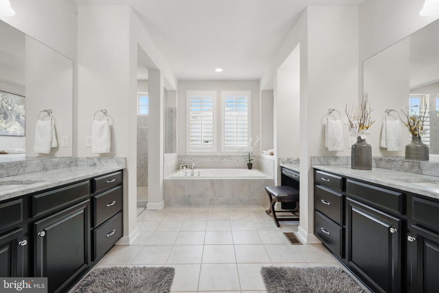 41223 CHATHAM GREEN CIR, ALDIE, Virginia 20105, 5 Bedrooms Bedrooms, ,4 BathroomsBathrooms,Residential,For sale,41223 CHATHAM GREEN CIR,VALO2096526 MLS # VALO2096526