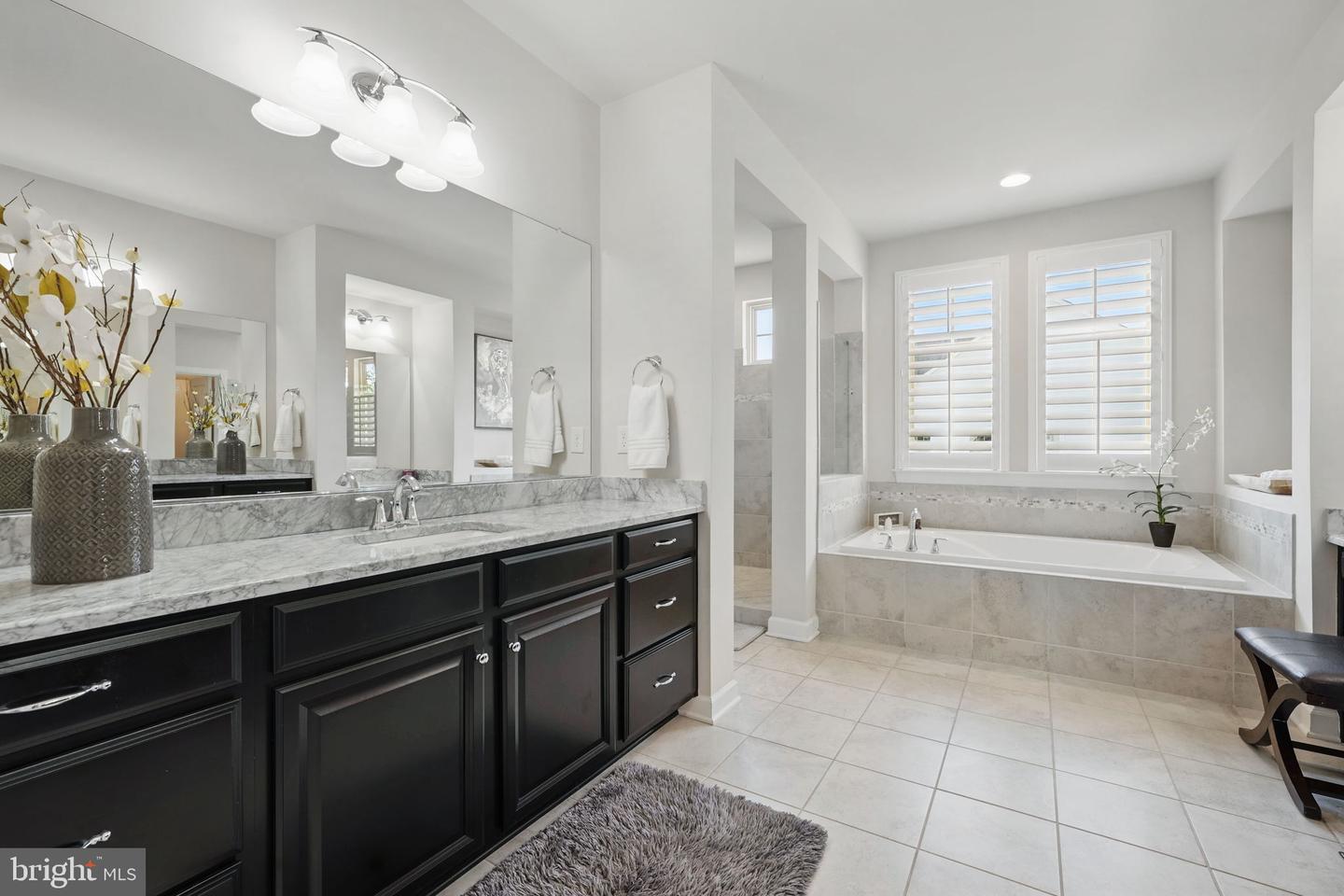 41223 CHATHAM GREEN CIR, ALDIE, Virginia 20105, 5 Bedrooms Bedrooms, ,4 BathroomsBathrooms,Residential,For sale,41223 CHATHAM GREEN CIR,VALO2096526 MLS # VALO2096526