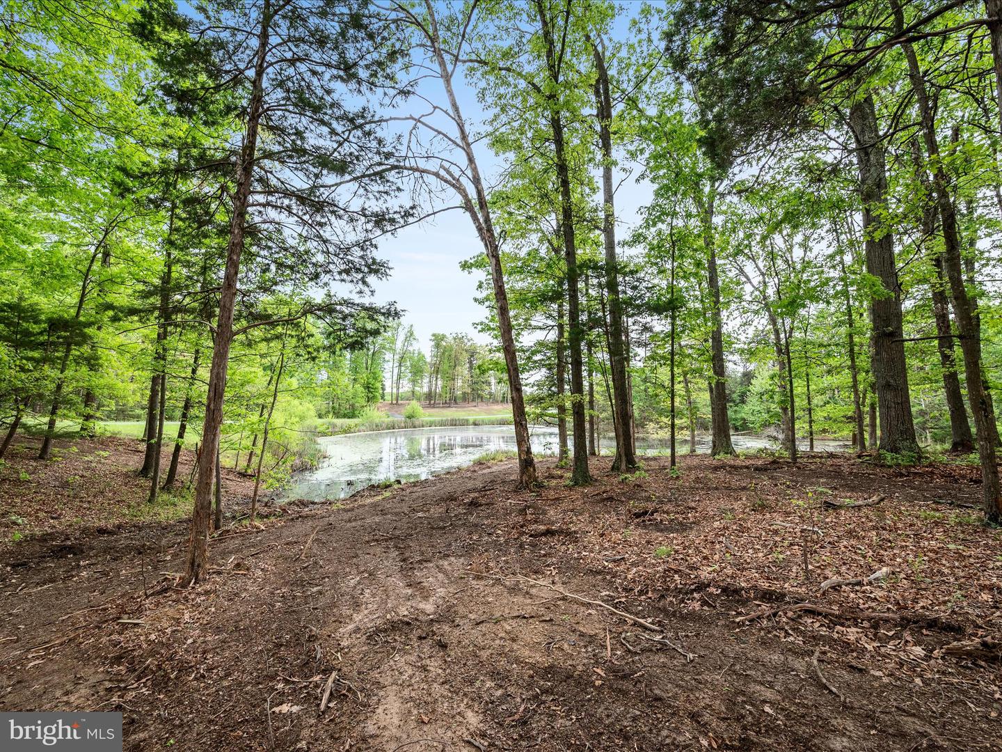 LOT 20 SPRINGWOOD LN, STEPHENS CITY, Virginia 22655, 4 Bedrooms Bedrooms, ,3 BathroomsBathrooms,Residential,For sale,LOT 20 SPRINGWOOD LN,VAWR2011174 MLS # VAWR2011174