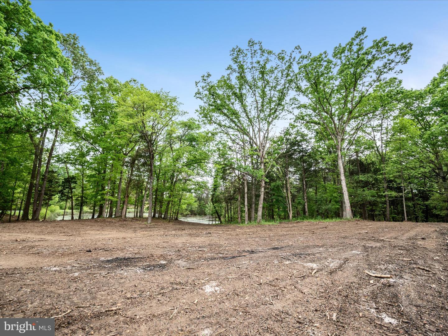 LOT 20 SPRINGWOOD LN, STEPHENS CITY, Virginia 22655, 4 Bedrooms Bedrooms, ,3 BathroomsBathrooms,Residential,For sale,LOT 20 SPRINGWOOD LN,VAWR2011174 MLS # VAWR2011174