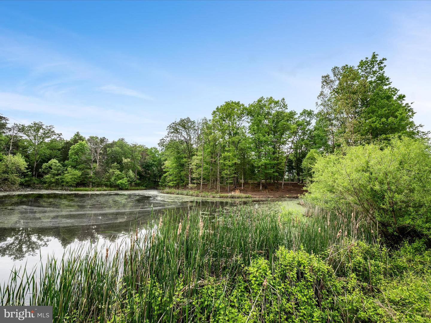 LOT 20 SPRINGWOOD LN, STEPHENS CITY, Virginia 22655, 4 Bedrooms Bedrooms, ,3 BathroomsBathrooms,Residential,For sale,LOT 20 SPRINGWOOD LN,VAWR2011174 MLS # VAWR2011174