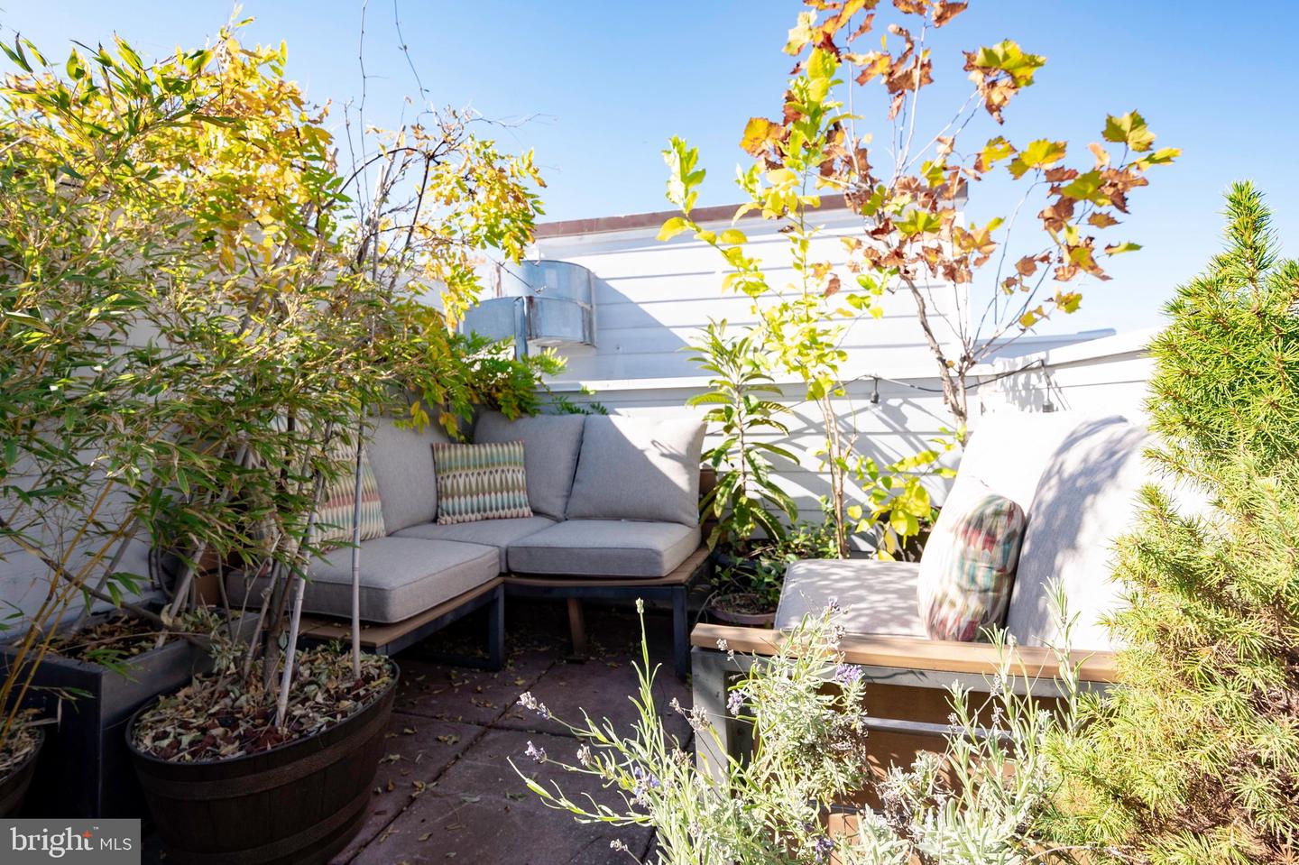 2535 13TH ST NW #403, WASHINGTON, District Of Columbia 20009, 1 Bedroom Bedrooms, ,1 BathroomBathrooms,Residential,For sale,2535 13TH ST NW #403,DCDC2200822 MLS # DCDC2200822