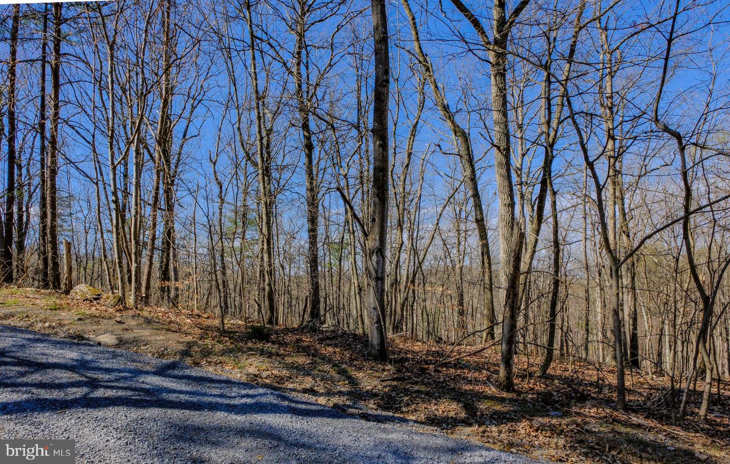 LOT 41 MARKHAM FARM RD, FRONT ROYAL, Virginia 22630, 3 Bedrooms Bedrooms, ,2 BathroomsBathrooms,Residential,For sale,LOT 41 MARKHAM FARM RD,VAWR2011188 MLS # VAWR2011188