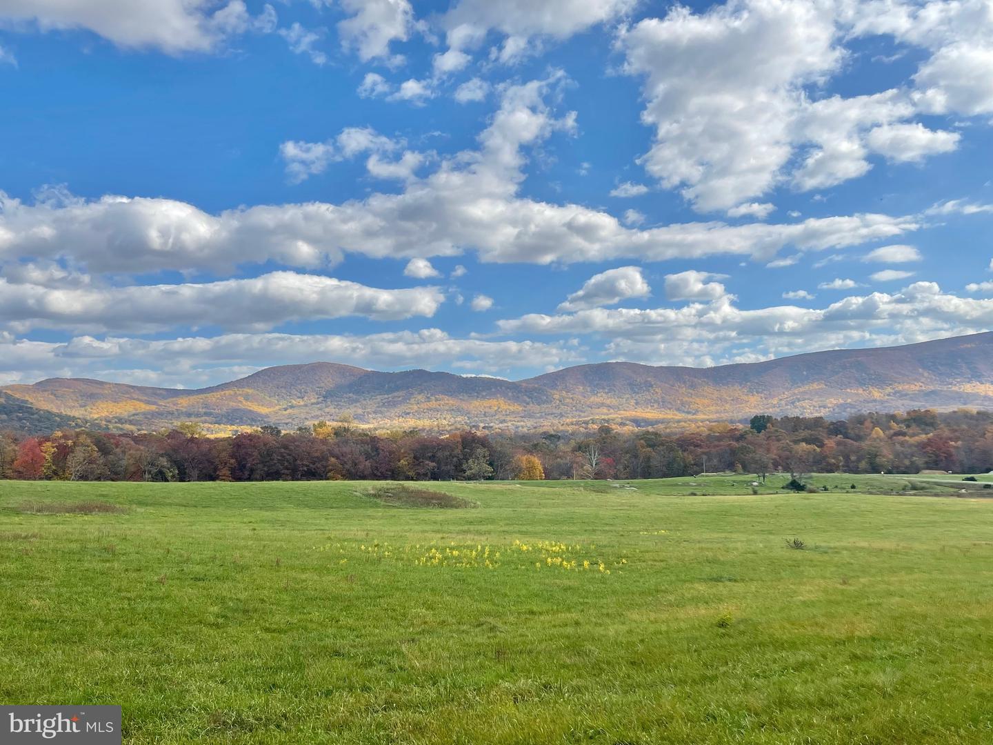 LOT 63C BUCK MOUNTAIN RD, BENTONVILLE, Virginia 22610, 3 Bedrooms Bedrooms, ,3 BathroomsBathrooms,Residential,For sale,LOT 63C BUCK MOUNTAIN RD,VAWR2011196 MLS # VAWR2011196