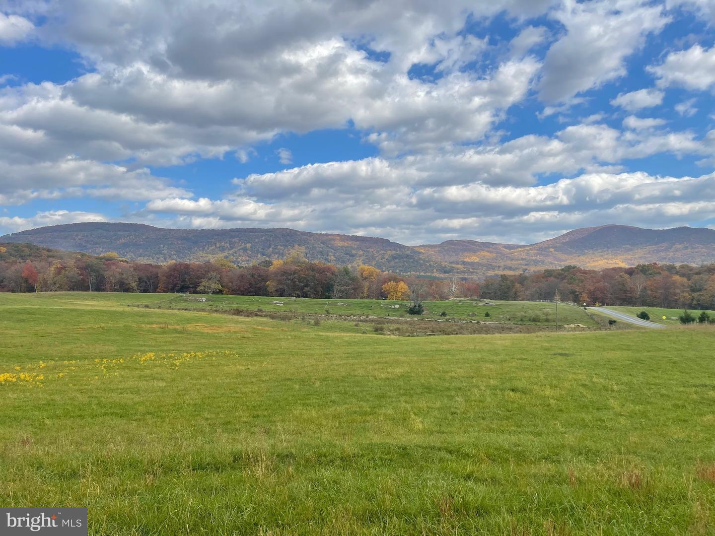 LOT 63C BUCK MOUNTAIN RD, BENTONVILLE, Virginia 22610, 3 Bedrooms Bedrooms, ,3 BathroomsBathrooms,Residential,For sale,LOT 63C BUCK MOUNTAIN RD,VAWR2011196 MLS # VAWR2011196