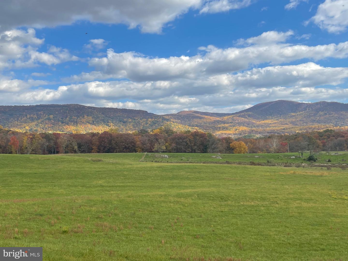 LOT 63C BUCK MOUNTAIN RD, BENTONVILLE, Virginia 22610, 3 Bedrooms Bedrooms, ,3 BathroomsBathrooms,Residential,For sale,LOT 63C BUCK MOUNTAIN RD,VAWR2011196 MLS # VAWR2011196