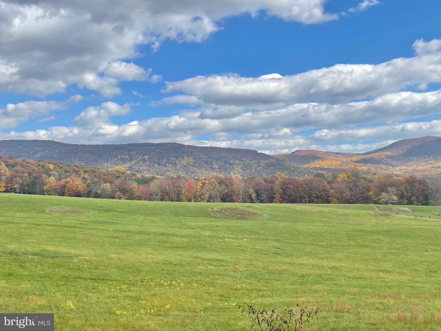 LOT 63C BUCK MOUNTAIN RD, BENTONVILLE, Virginia 22610, 3 Bedrooms Bedrooms, ,3 BathroomsBathrooms,Residential,For sale,LOT 63C BUCK MOUNTAIN RD,VAWR2011196 MLS # VAWR2011196