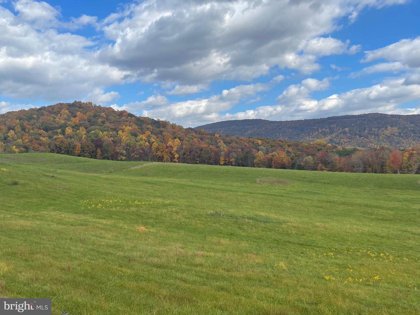 LOT 63C BUCK MOUNTAIN RD, BENTONVILLE, Virginia 22610, 3 Bedrooms Bedrooms, ,3 BathroomsBathrooms,Residential,For sale,LOT 63C BUCK MOUNTAIN RD,VAWR2011196 MLS # VAWR2011196