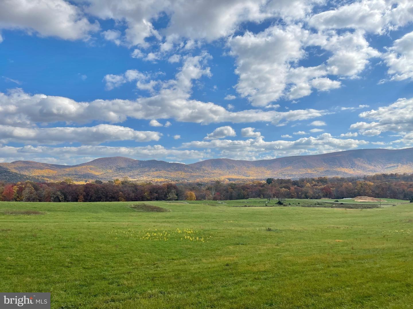 LOT 63C BUCK MOUNTAIN RD, BENTONVILLE, Virginia 22610, 3 Bedrooms Bedrooms, ,3 BathroomsBathrooms,Residential,For sale,LOT 63C BUCK MOUNTAIN RD,VAWR2011196 MLS # VAWR2011196