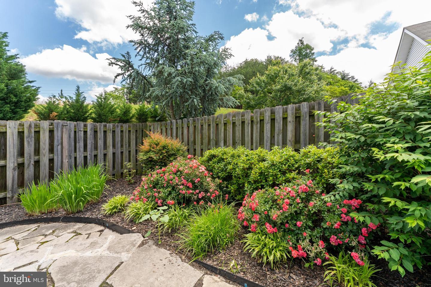 906 CADMUS DR, FREDERICKSBURG, Virginia 22401, 2 Bedrooms Bedrooms, ,2 BathroomsBathrooms,Residential,For sale,906 CADMUS DR,VAFB2008148 MLS # VAFB2008148