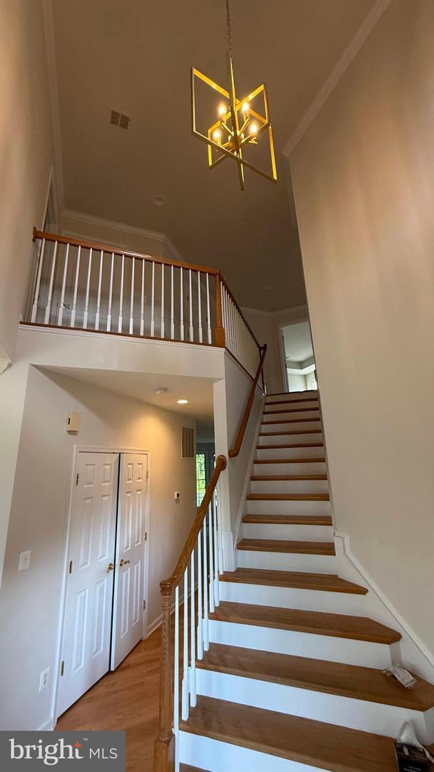 500 ROLAND ST SW, VIENNA, Virginia 22180, 5 Bedrooms Bedrooms, ,4 BathroomsBathrooms,Residential,For sale,500 ROLAND ST SW,VAFX2238646 MLS # VAFX2238646
