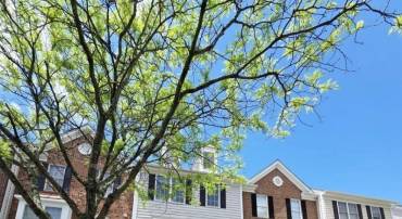 43671 SCARLET, CHANTILLY, Virginia 20152, 4 Bedrooms Bedrooms, ,2 BathroomsBathrooms,Residential,For sale,43671 SCARLET,VALO2095626 MLS # VALO2095626