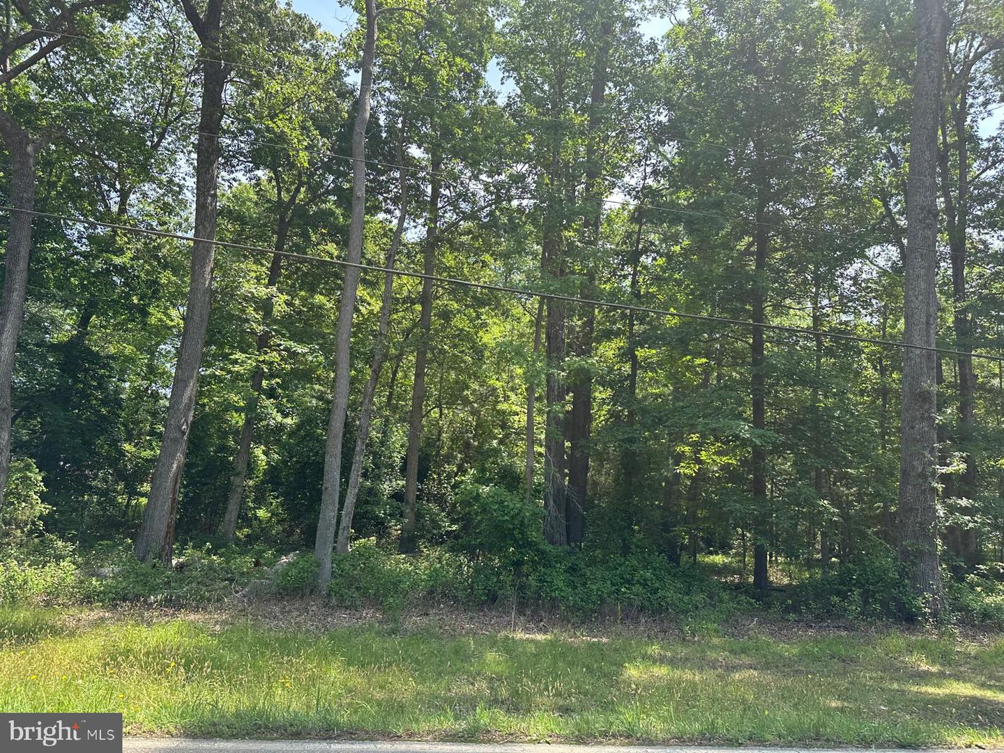 8675 STRATH RD, RICHMOND, Virginia 23231, ,Land,For sale,8675 STRATH RD,VAHN2000918 MLS # VAHN2000918