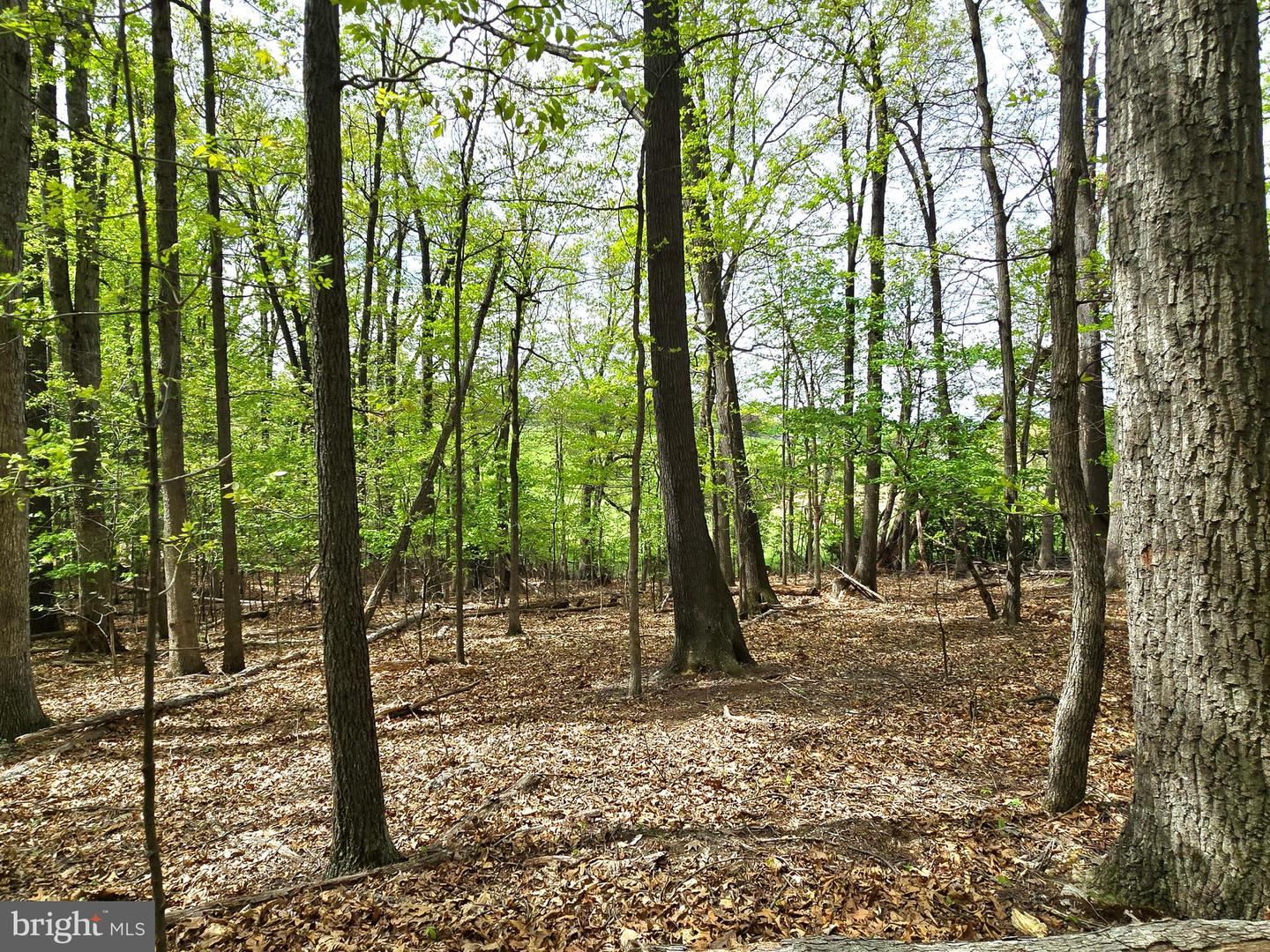 0 INDIAN RIDGE LN, ROCKINGHAM, Virginia 22802, ,Land,For sale,0 INDIAN RIDGE LN,VARO2002320 MLS # VARO2002320
