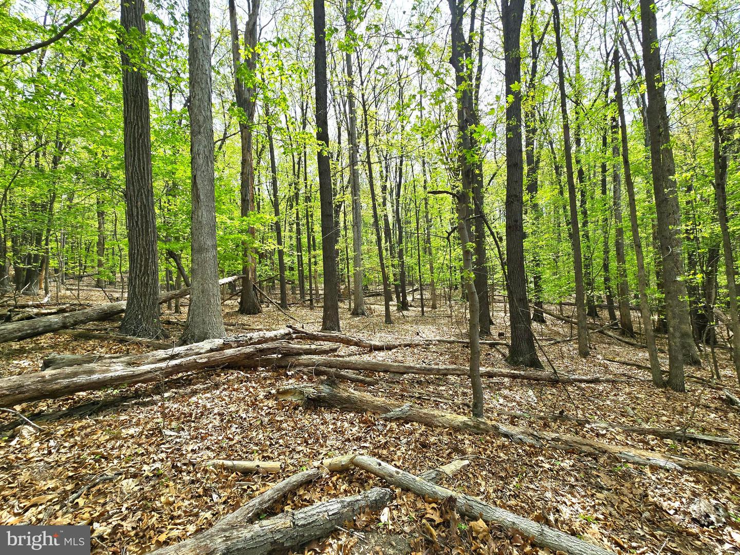0 INDIAN RIDGE LN, ROCKINGHAM, Virginia 22802, ,Land,For sale,0 INDIAN RIDGE LN,VARO2002320 MLS # VARO2002320