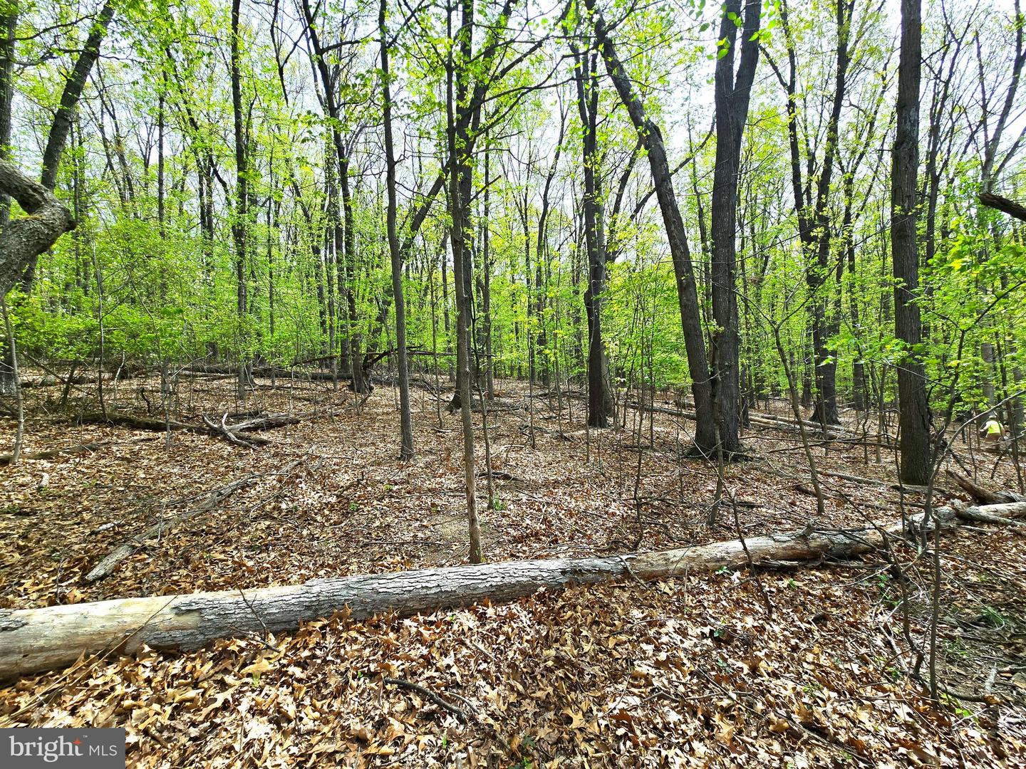 0 INDIAN RIDGE LN, ROCKINGHAM, Virginia 22802, ,Land,For sale,0 INDIAN RIDGE LN,VARO2002320 MLS # VARO2002320