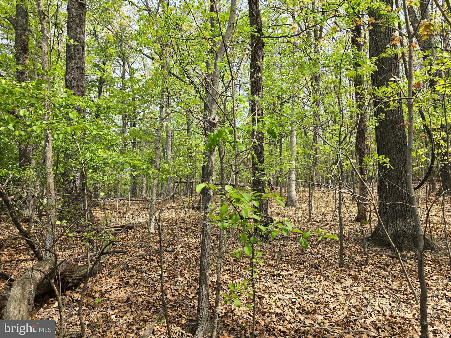 0 INDIAN RIDGE LN, ROCKINGHAM, Virginia 22802, ,Land,For sale,0 INDIAN RIDGE LN,VARO2002320 MLS # VARO2002320