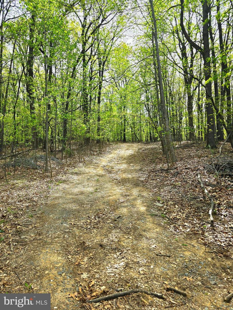 0 INDIAN RIDGE LN, ROCKINGHAM, Virginia 22802, ,Land,For sale,0 INDIAN RIDGE LN,VARO2002320 MLS # VARO2002320