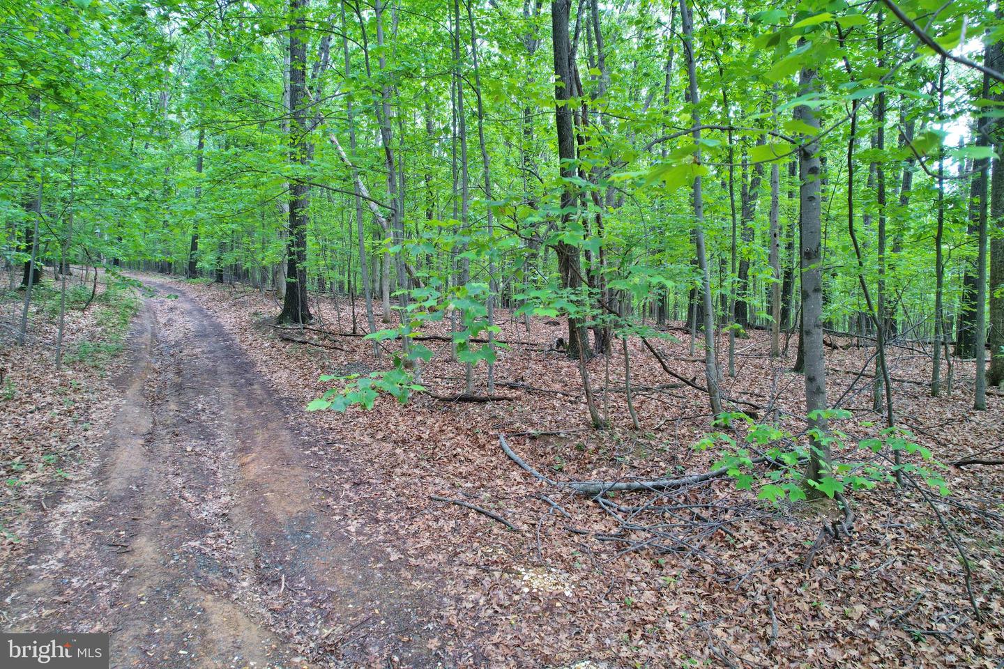 0 INDIAN RIDGE LN, ROCKINGHAM, Virginia 22802, ,Land,For sale,0 INDIAN RIDGE LN,VARO2002320 MLS # VARO2002320