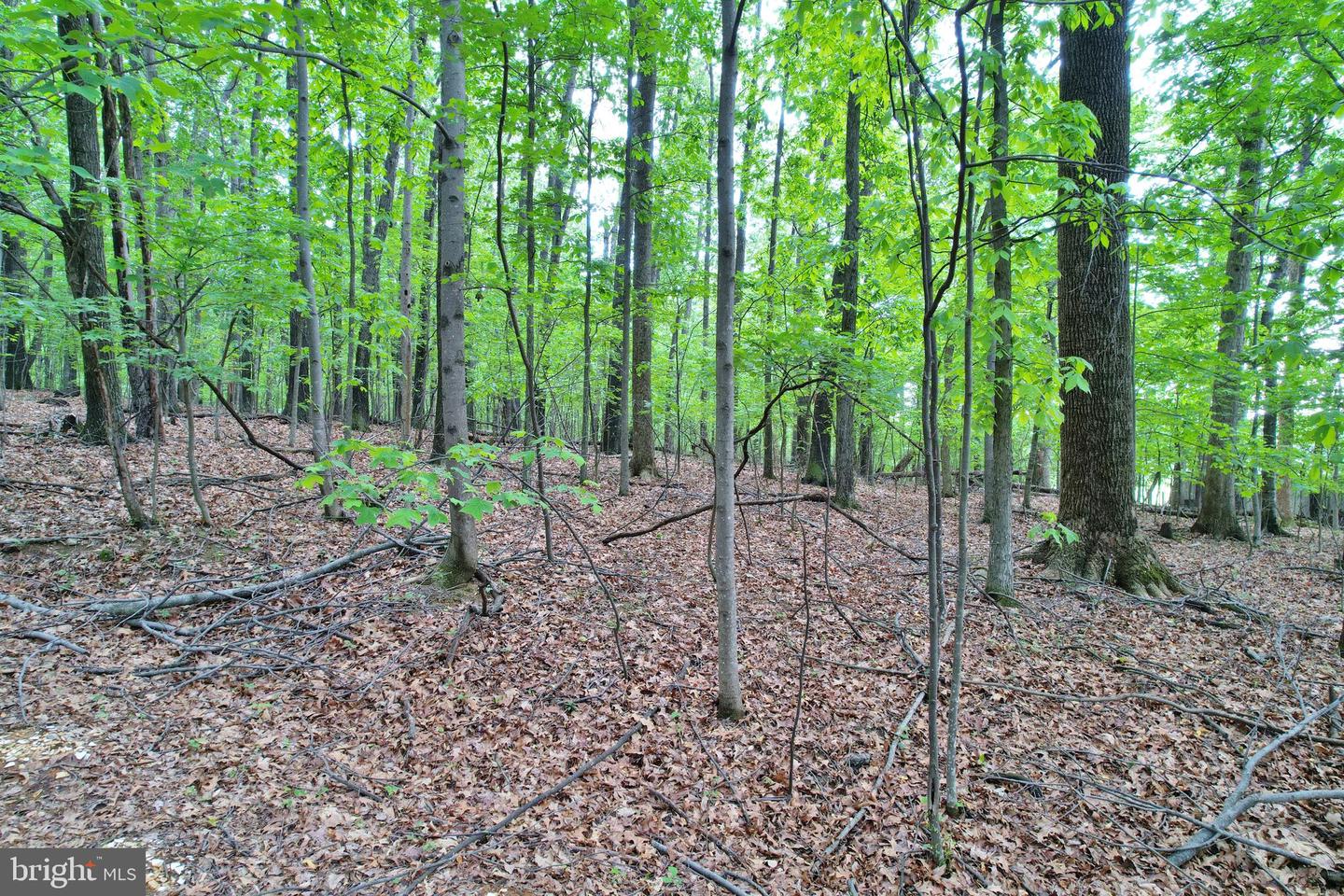 0 INDIAN RIDGE LN, ROCKINGHAM, Virginia 22802, ,Land,For sale,0 INDIAN RIDGE LN,VARO2002320 MLS # VARO2002320