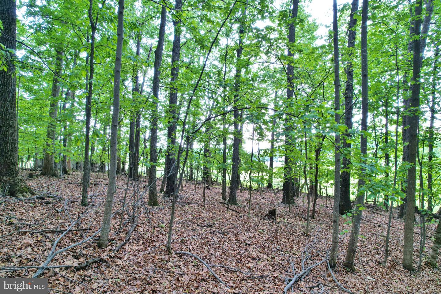 0 INDIAN RIDGE LN, ROCKINGHAM, Virginia 22802, ,Land,For sale,0 INDIAN RIDGE LN,VARO2002320 MLS # VARO2002320