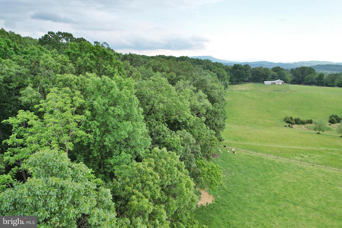 0 INDIAN RIDGE LN, ROCKINGHAM, Virginia 22802, ,Land,For sale,0 INDIAN RIDGE LN,VARO2002320 MLS # VARO2002320