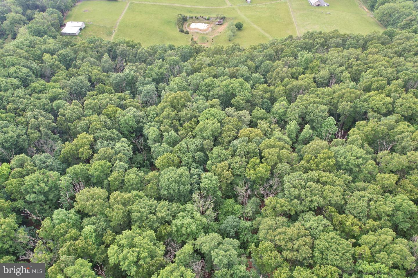 0 INDIAN RIDGE LN, ROCKINGHAM, Virginia 22802, ,Land,For sale,0 INDIAN RIDGE LN,VARO2002320 MLS # VARO2002320