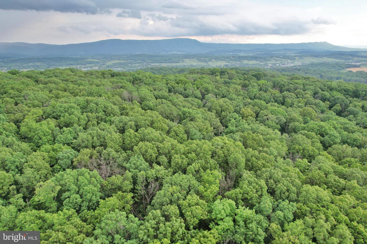 0 INDIAN RIDGE LN, ROCKINGHAM, Virginia 22802, ,Land,For sale,0 INDIAN RIDGE LN,VARO2002320 MLS # VARO2002320