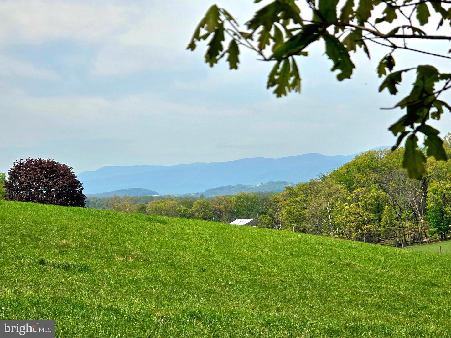 0 INDIAN RIDGE LN, ROCKINGHAM, Virginia 22802, ,Land,For sale,0 INDIAN RIDGE LN,VARO2002320 MLS # VARO2002320