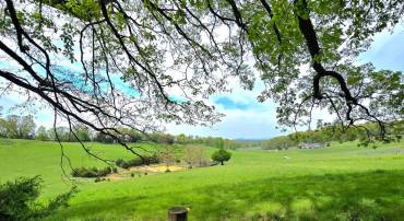 0 INDIAN RIDGE LN, ROCKINGHAM, Virginia 22802, ,Land,For sale,0 INDIAN RIDGE LN,VARO2002320 MLS # VARO2002320