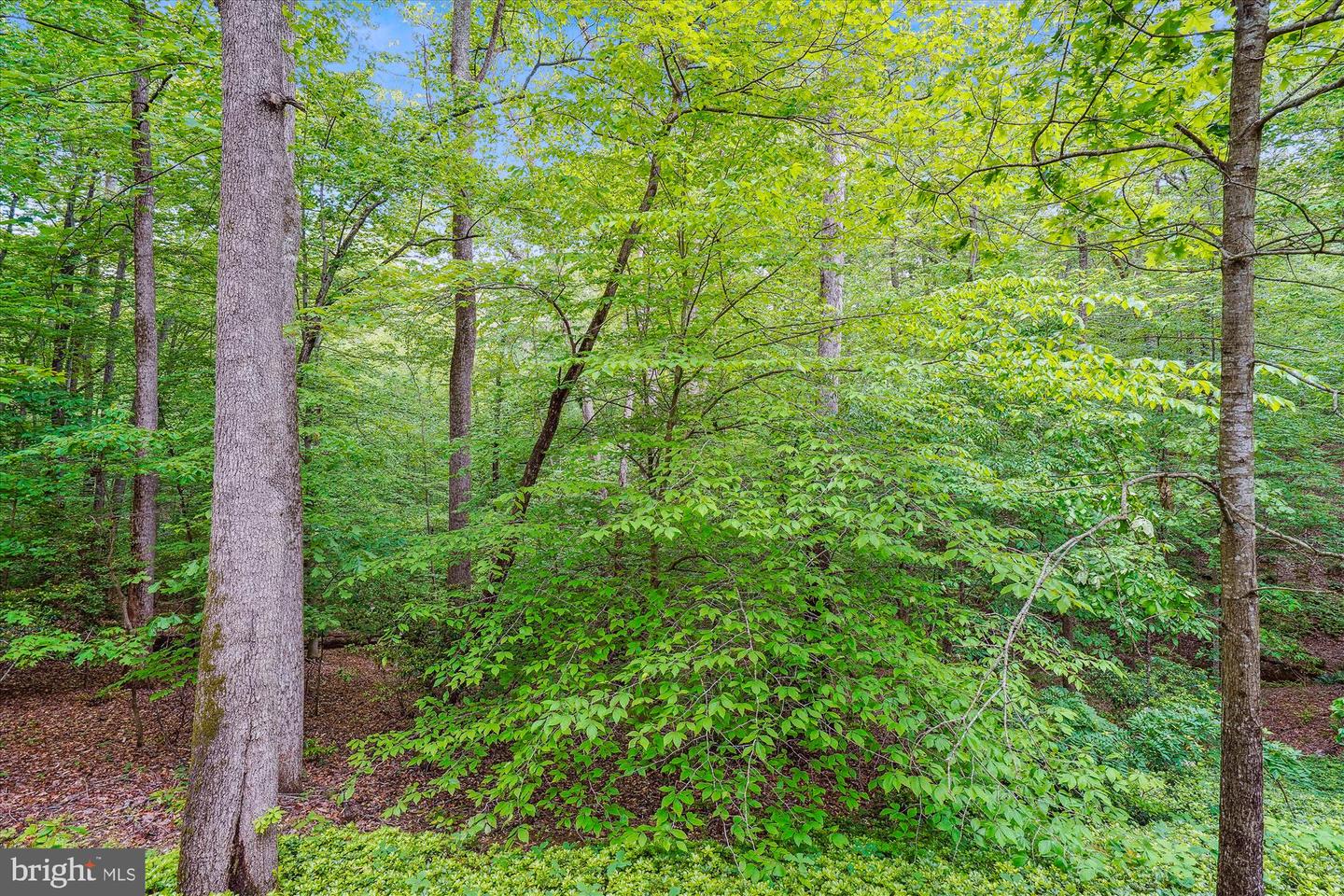 7517 LEES FARM RD, CLIFTON, Virginia 20124, 4 Bedrooms Bedrooms, ,3 BathroomsBathrooms,Residential,For sale,7517 LEES FARM RD,VAFX2239586 MLS # VAFX2239586