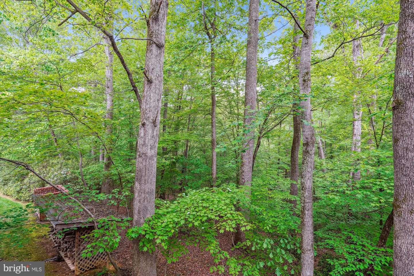 7517 LEES FARM RD, CLIFTON, Virginia 20124, 4 Bedrooms Bedrooms, ,3 BathroomsBathrooms,Residential,For sale,7517 LEES FARM RD,VAFX2239586 MLS # VAFX2239586