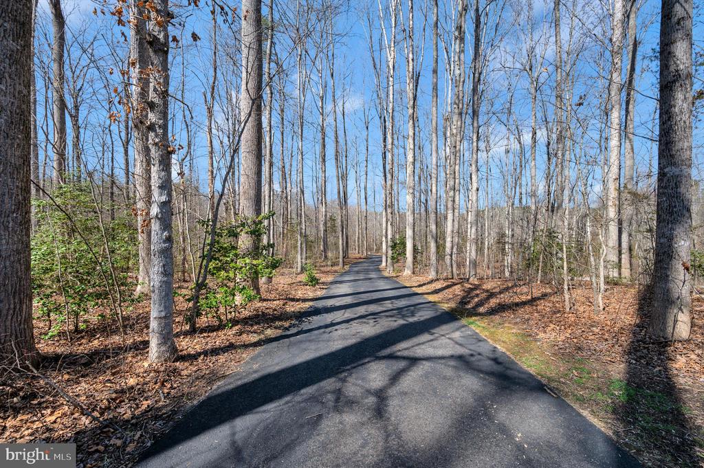 6117 BLOCK HOUSE RD, PARTLOW, Virginia 22534, 4 Bedrooms Bedrooms, ,2 BathroomsBathrooms,Residential,6117 BLOCK HOUSE RD,VASP2031510 MLS # VASP2031510