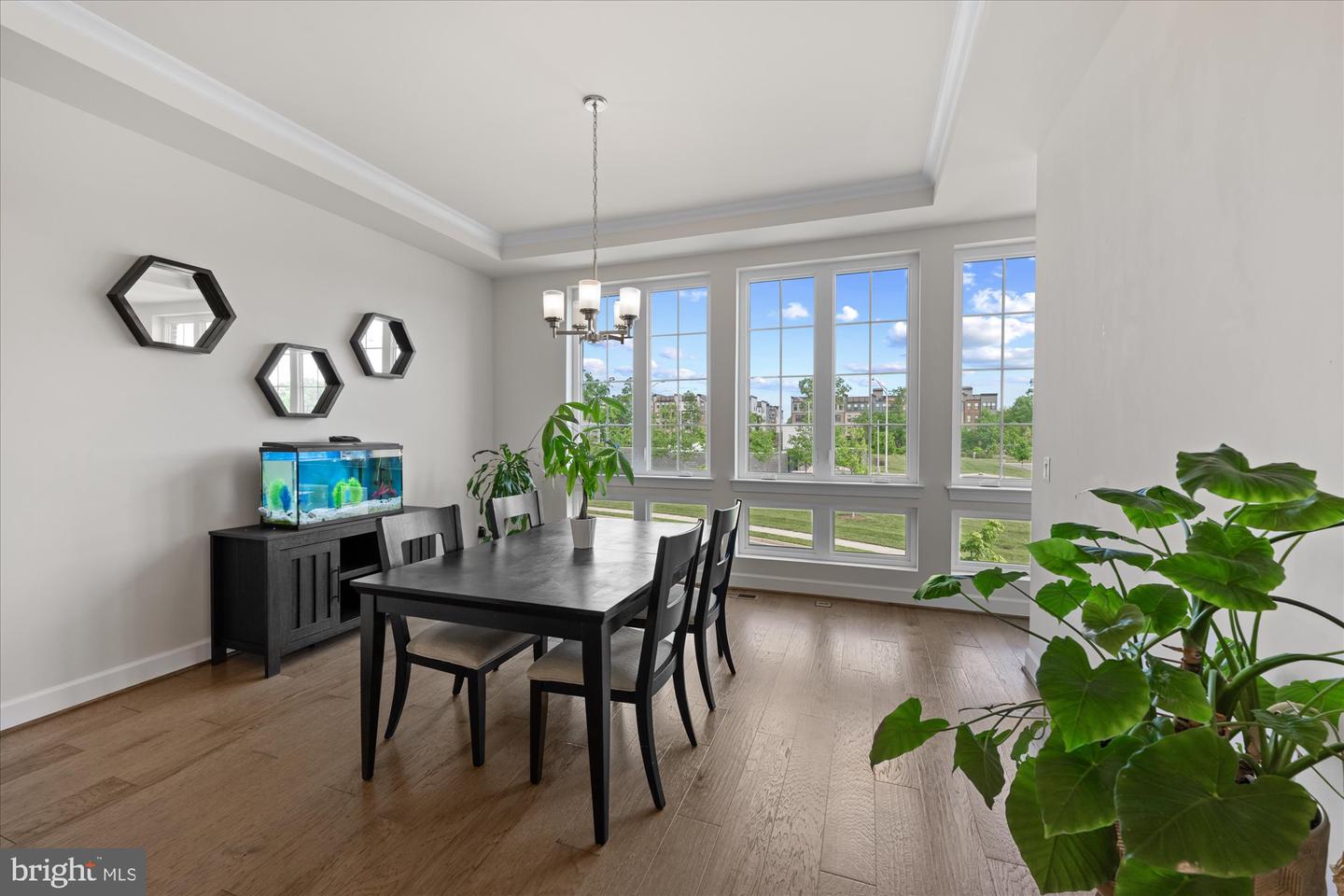20305 SAVIN HILL DR, ASHBURN, Virginia 20147, 4 Bedrooms Bedrooms, ,3 BathroomsBathrooms,Residential,For sale,20305 SAVIN HILL DR,VALO2094810 MLS # VALO2094810
