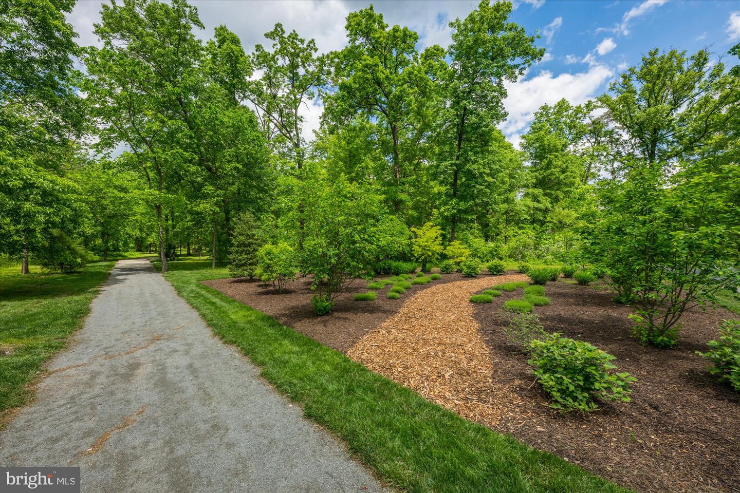 20305 SAVIN HILL DR, ASHBURN, Virginia 20147, 4 Bedrooms Bedrooms, ,3 BathroomsBathrooms,Residential,For sale,20305 SAVIN HILL DR,VALO2094810 MLS # VALO2094810
