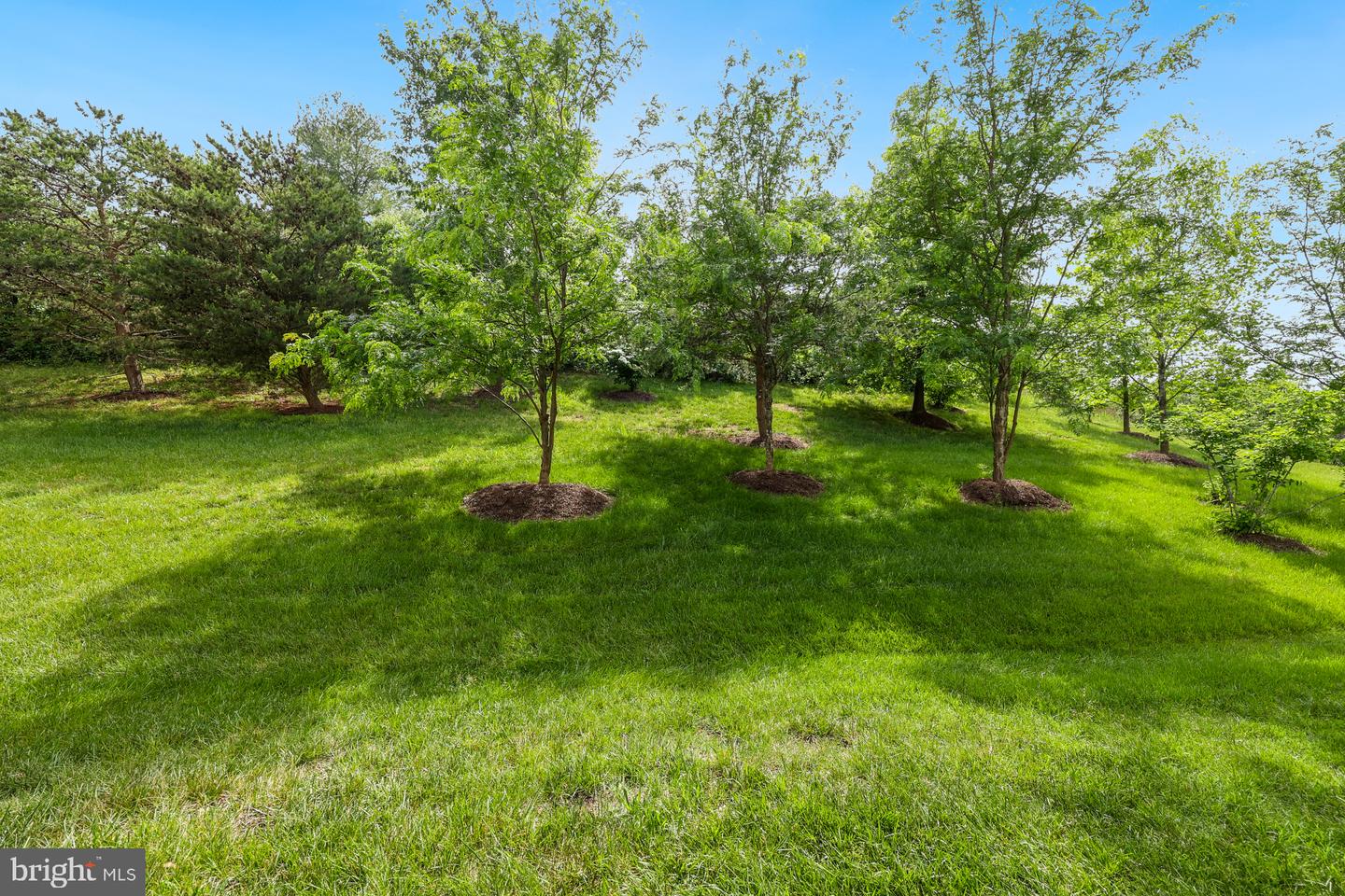 17107 GIBSON MILL RD, DUMFRIES, Virginia 22026, 3 Bedrooms Bedrooms, ,3 BathroomsBathrooms,Residential,For sale,17107 GIBSON MILL RD,VAPW2093902 MLS # VAPW2093902