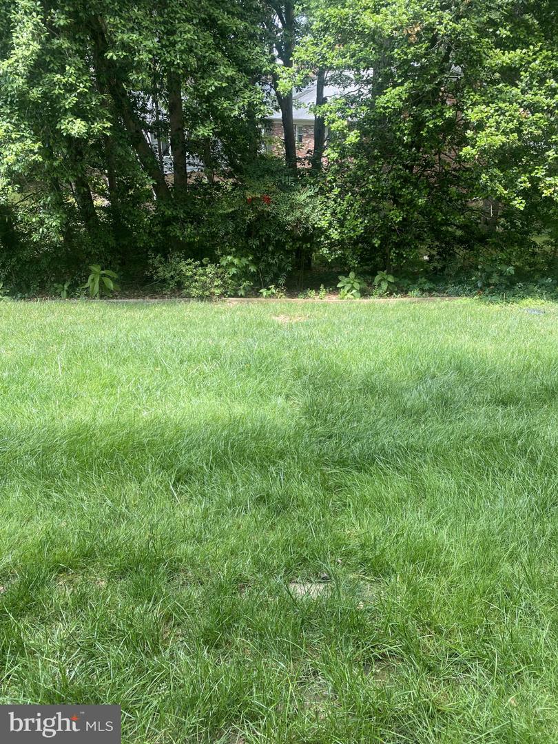 1805-A WILLIAM ST #B2, FREDERICKSBURG, Virginia 22401, 1 Bedroom Bedrooms, ,1 BathroomBathrooms,Residential,For sale,1805-A WILLIAM ST #B2,VAFB2008166 MLS # VAFB2008166
