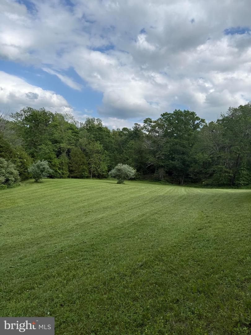 11400 ALVIN, CULPEPER, Virginia 22701, 4 Bedrooms Bedrooms, ,3 BathroomsBathrooms,Residential,For sale,11400 ALVIN,VACU2010564 MLS # VACU2010564