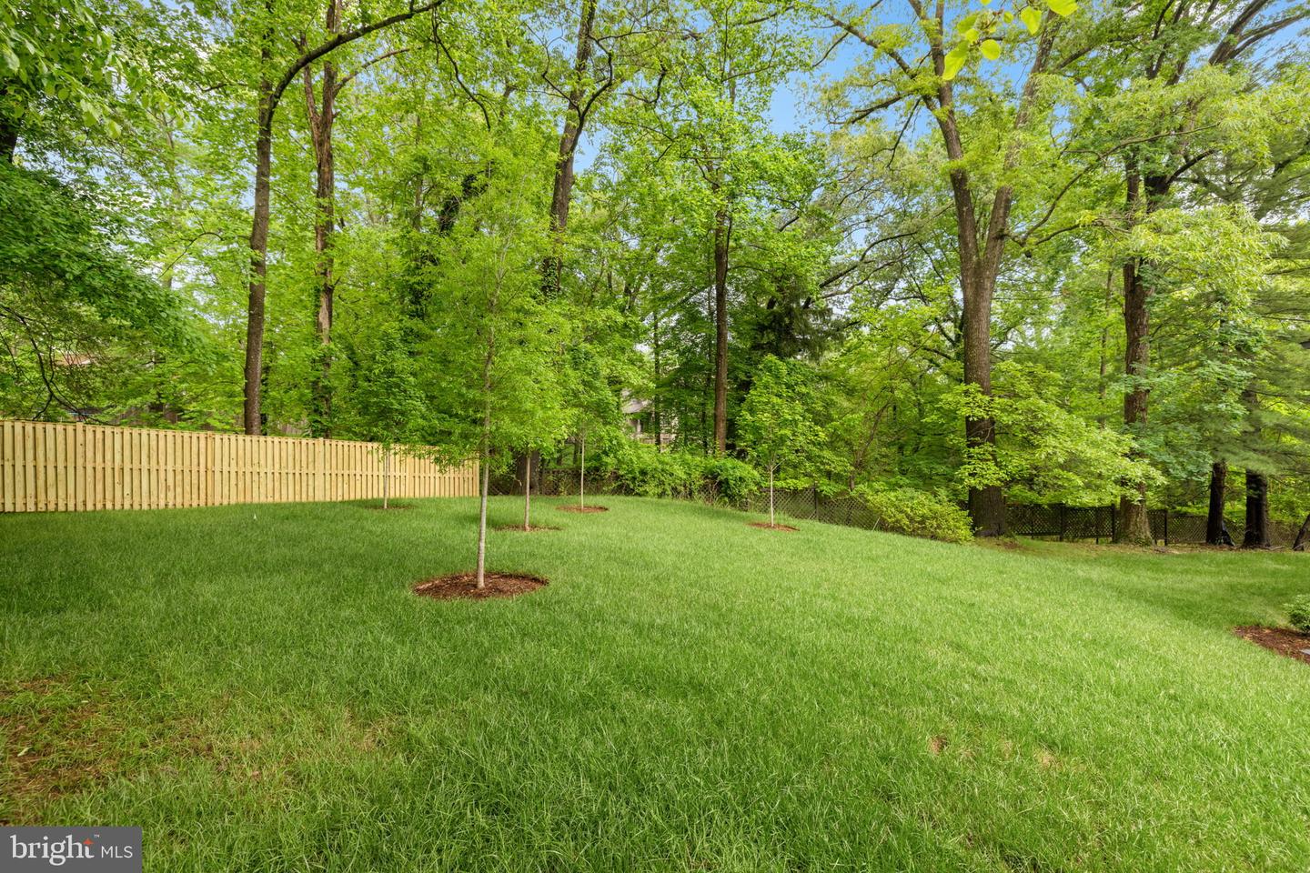 2107 ELLIOTT AVE, MCLEAN, Virginia 22101, 5 Bedrooms Bedrooms, ,5 BathroomsBathrooms,Residential,For sale,2107 ELLIOTT AVE,VAFX2240682 MLS # VAFX2240682