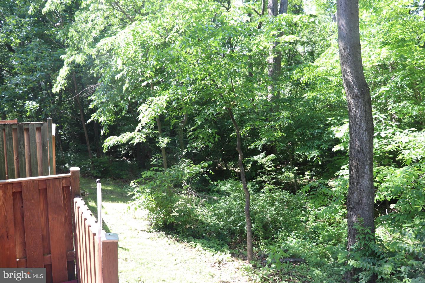 7670 NORTHERN OAKS CT, SPRINGFIELD, Virginia 22153, 3 Bedrooms Bedrooms, ,3 BathroomsBathrooms,Residential,For sale,7670 NORTHERN OAKS CT,VAFX2241286 MLS # VAFX2241286